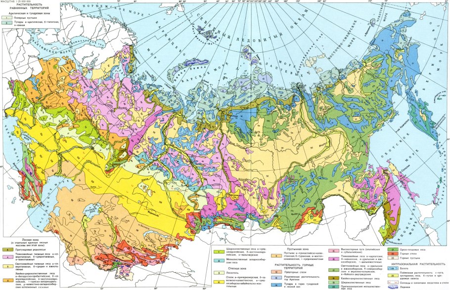 Карта зоны растительности России