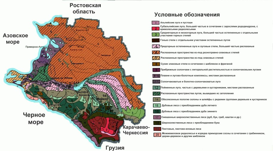 Карта растительности Краснодарского края