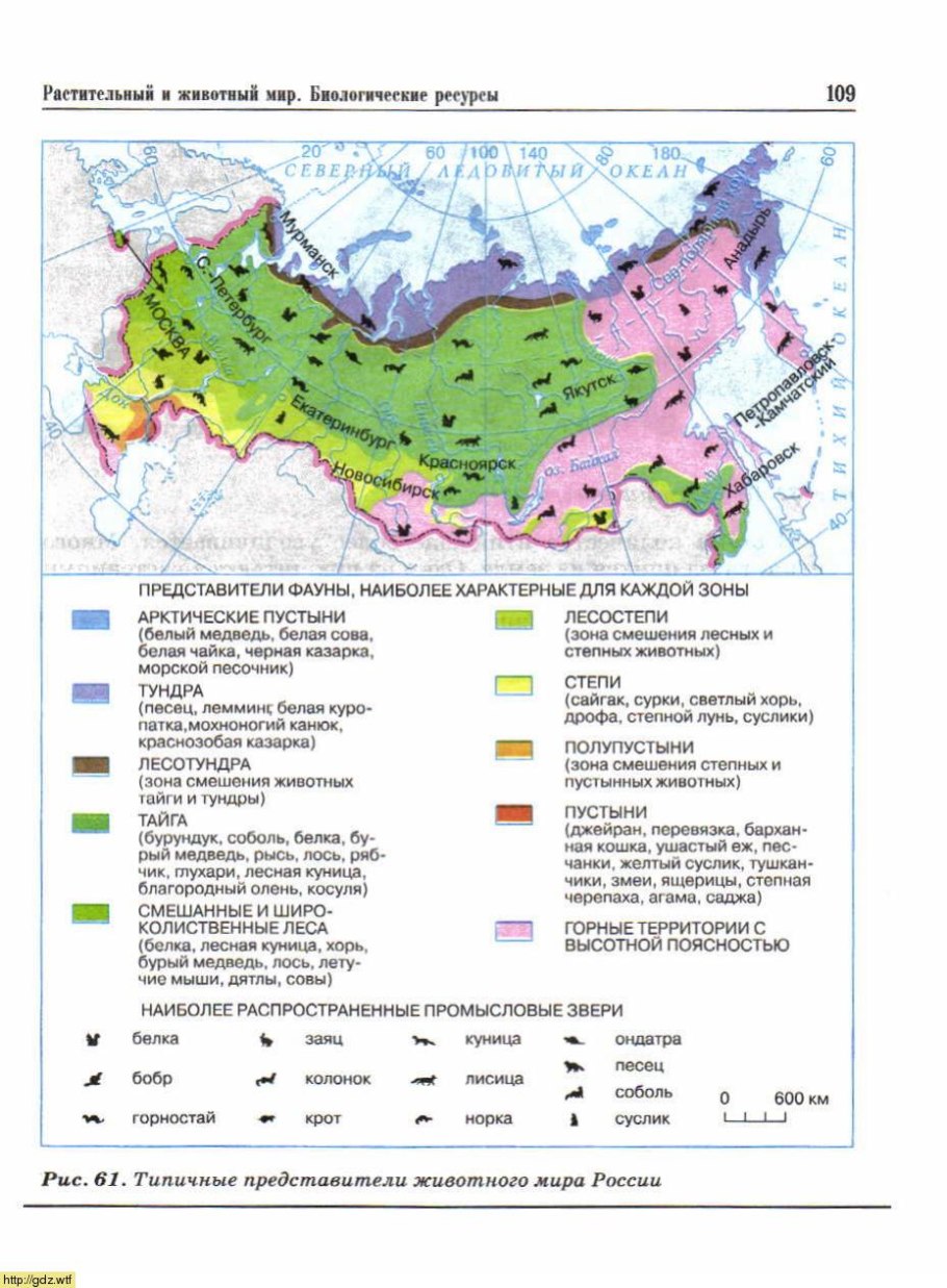 Карта животный мир России 8 класс