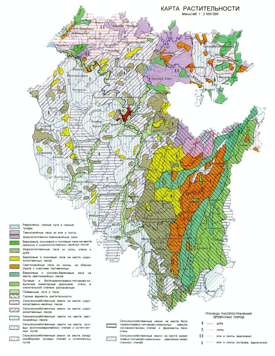 Карта растительности Башкирии