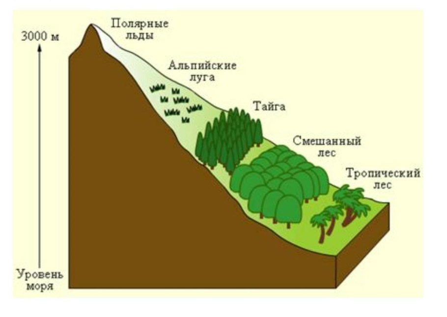 Высотная поясность ландшафтов