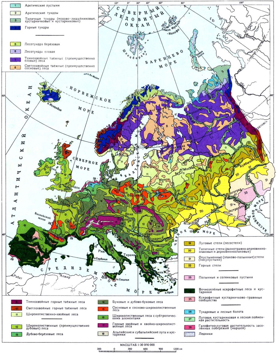 Карта растительности зарубежной Европы