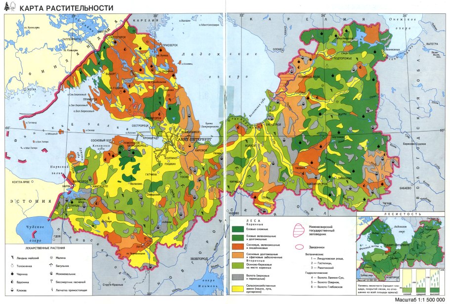 Карта лесов Ленинградской области подробная