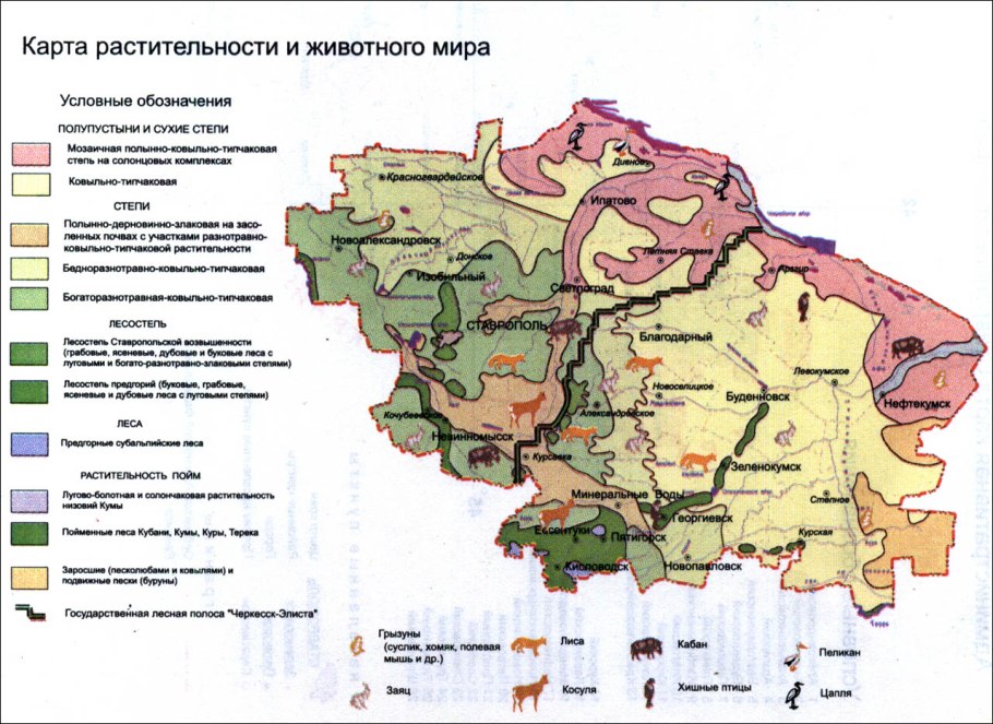 Карта растительности и животного мира Ставропольского края
