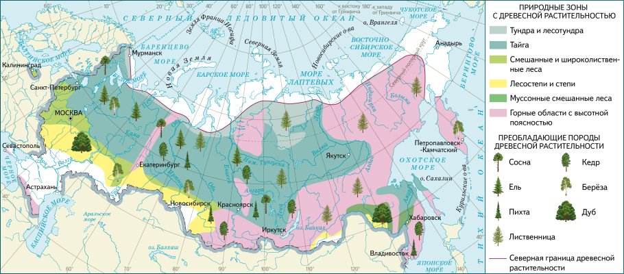 Природные зоны России 4 класс окружающий мир