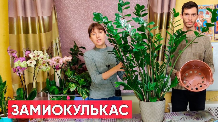 Кашпо Lechuza Rondo 40