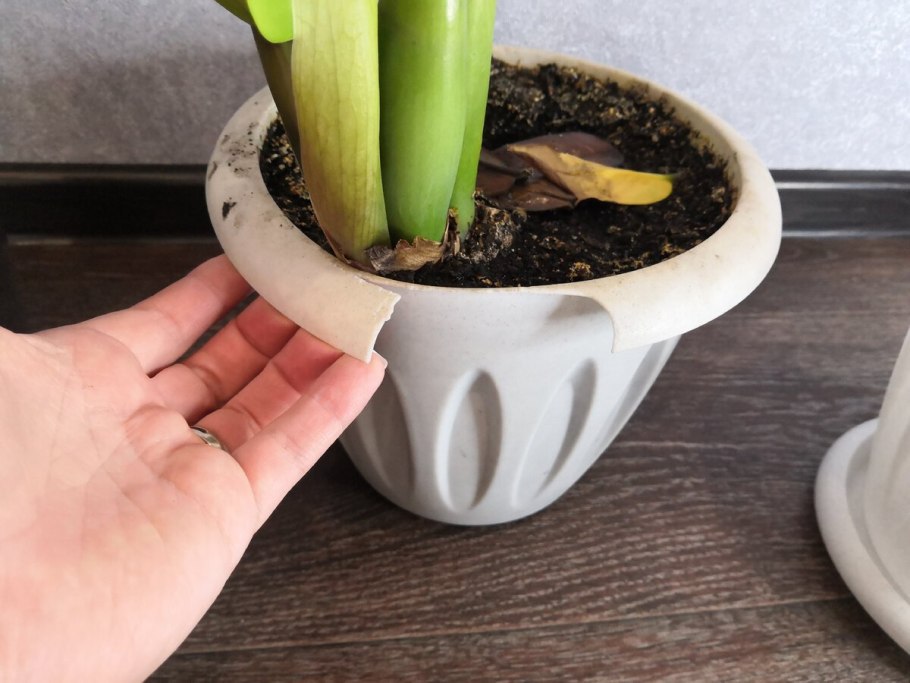 Готовый грунт для филодендрона