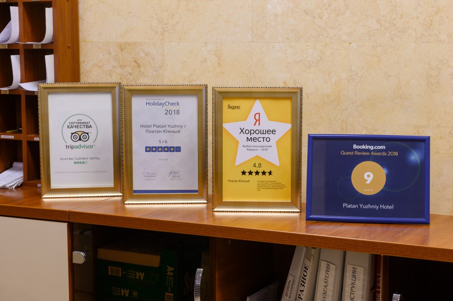 Платан Геленджик дерево