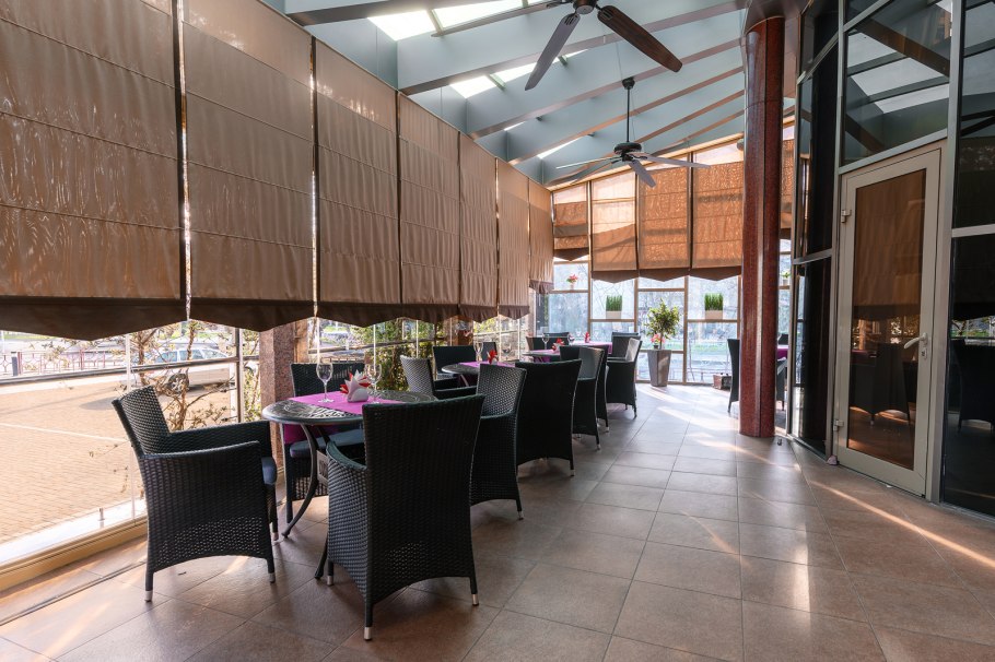 Платан Южный гостиница Краснодар