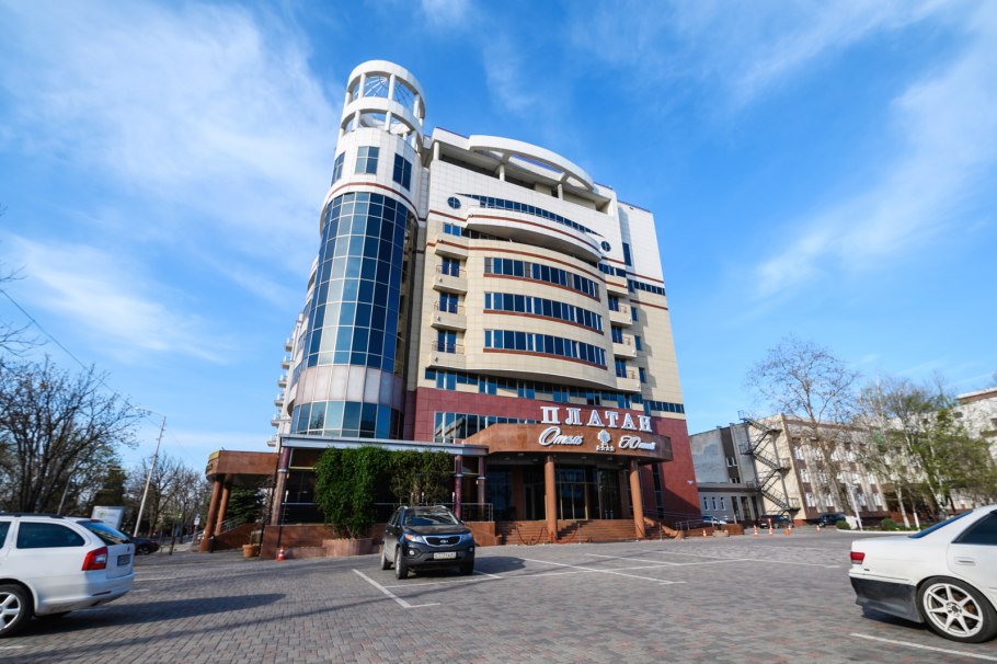 Платан Южный Краснодар