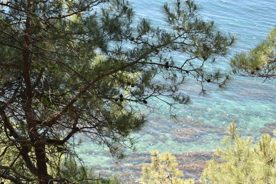 Джанхот голубая бездна кемпинг