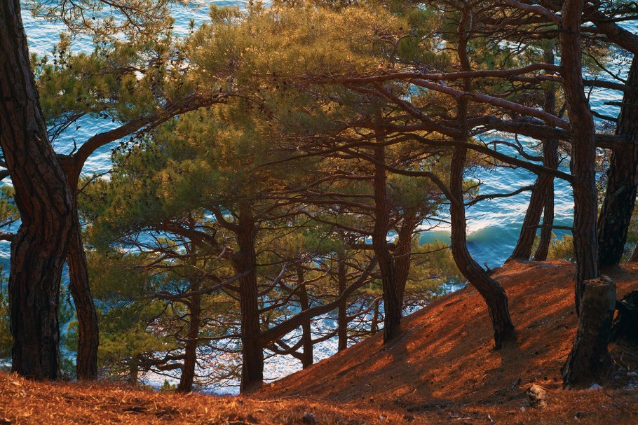 Пицунда поселок Лдзаа