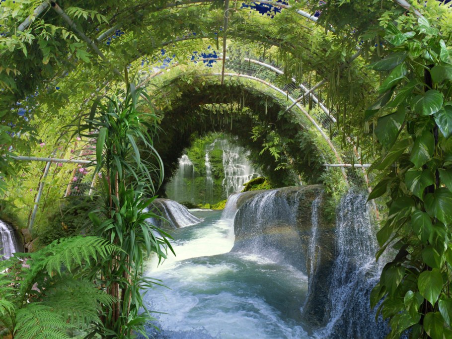 Озеро Киву тропические леса