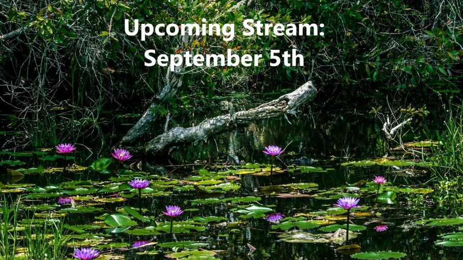 Кувшинка Nymphaea Fabiola