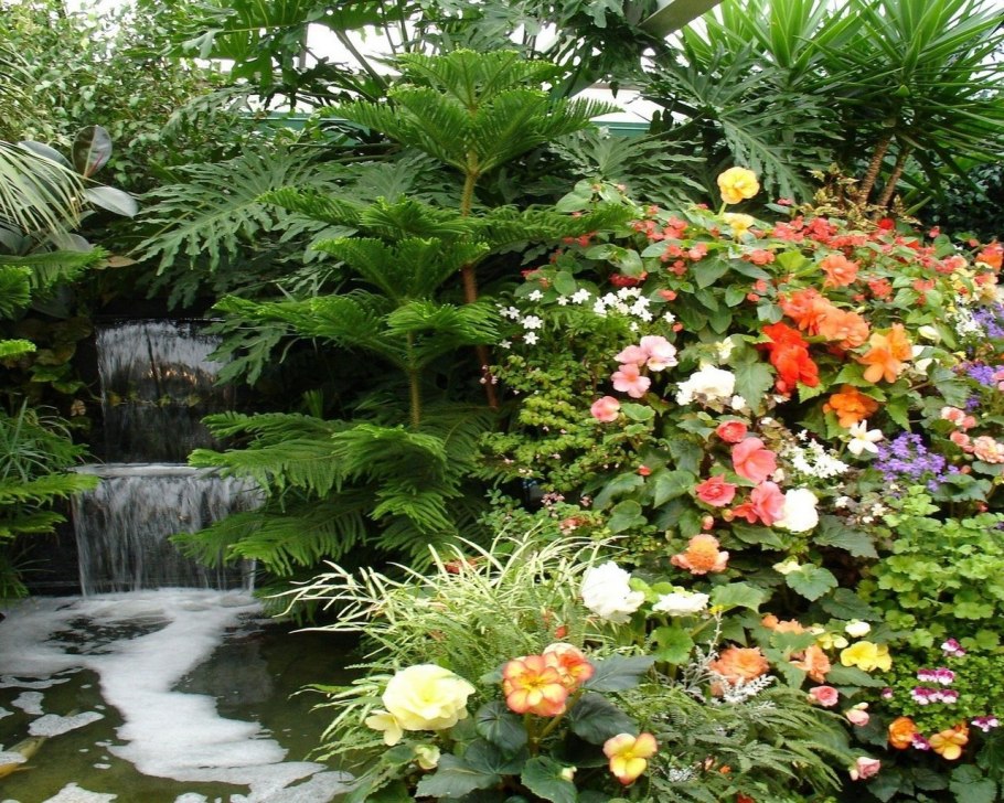 Биологический пруд биоплато