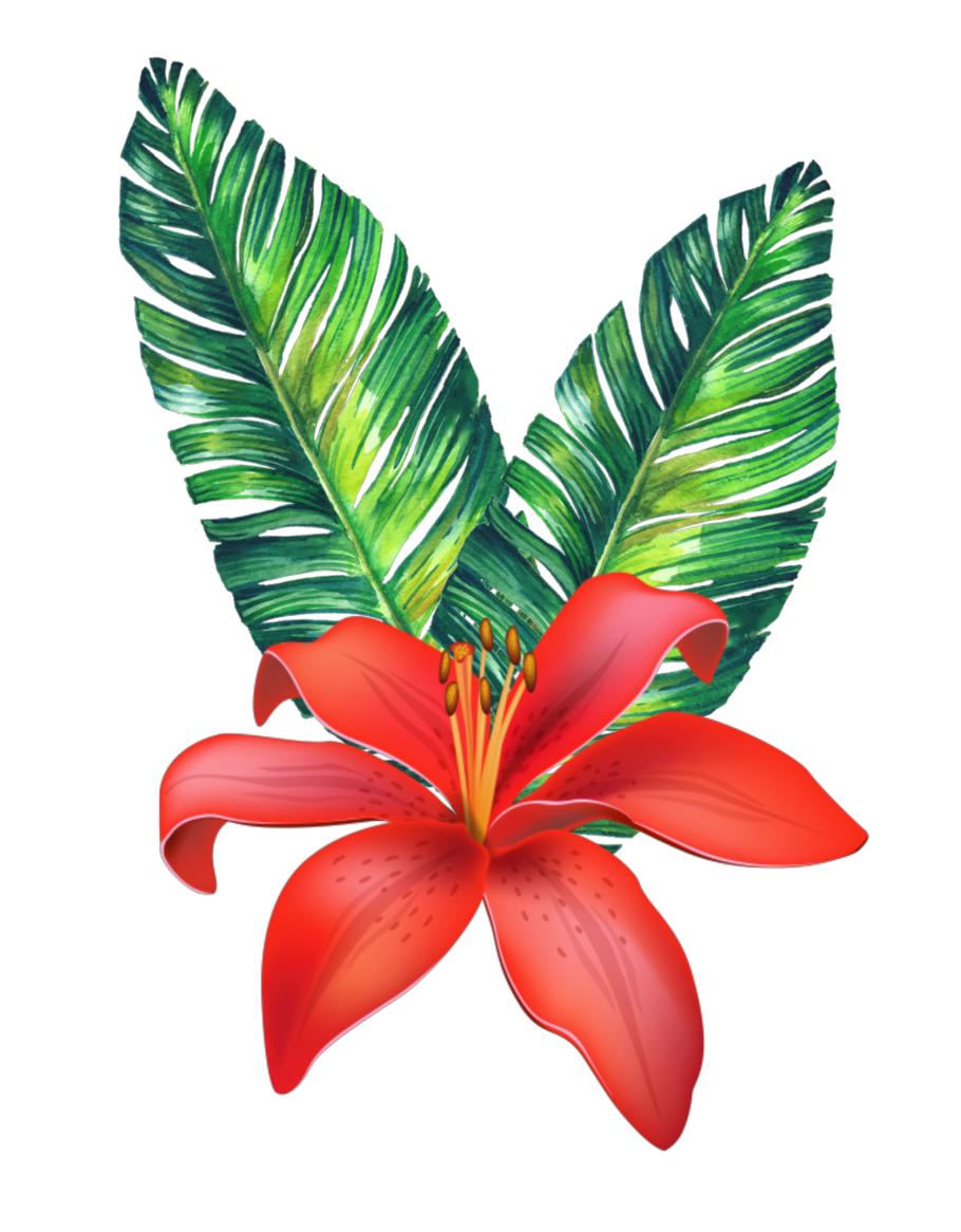 Тропические растения