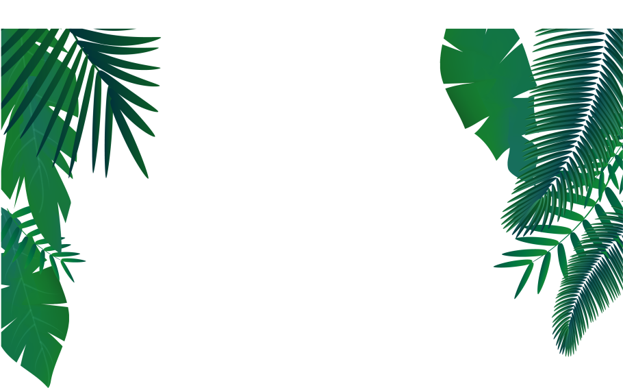 Листок пальмы