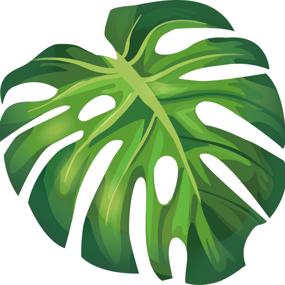 Листья Monstera вектор