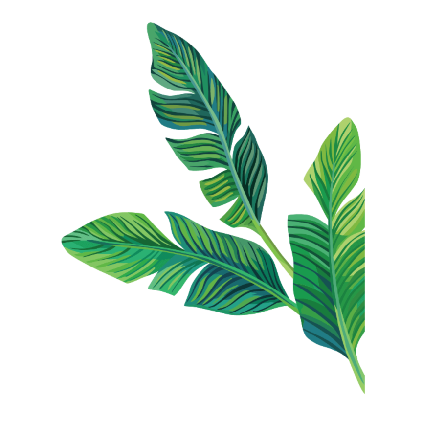 Тропические листья