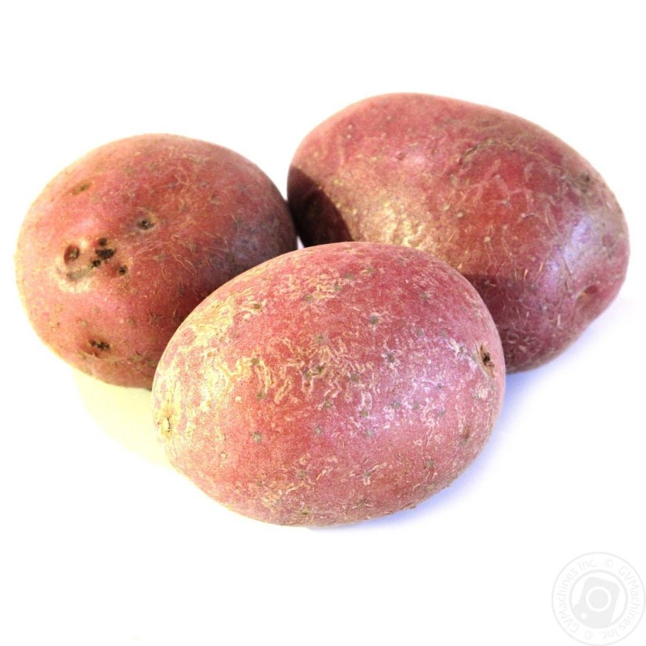 Сорт картофеля Ароза