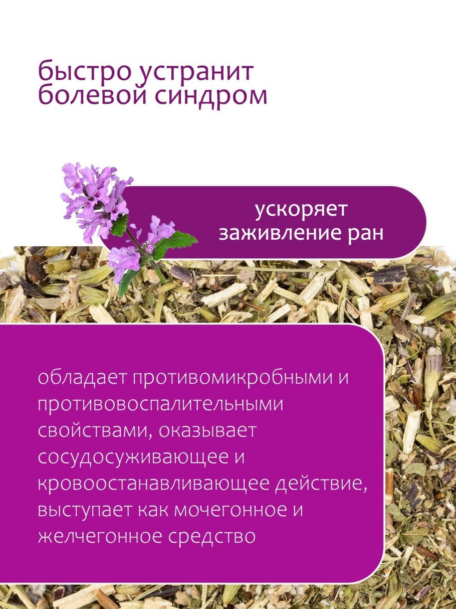 Аптека зопник