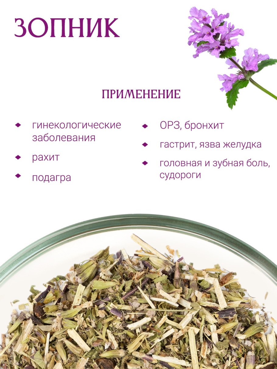 Железняк трава (зопник колючий)