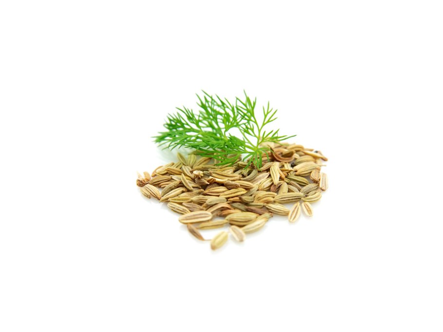 Foeniculum vulgare Water