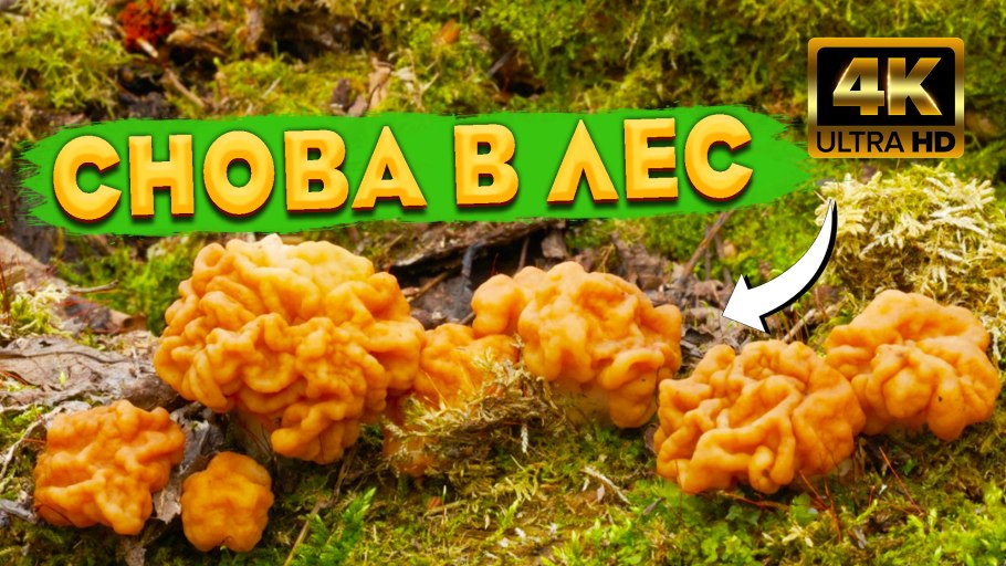 Весенние строчки