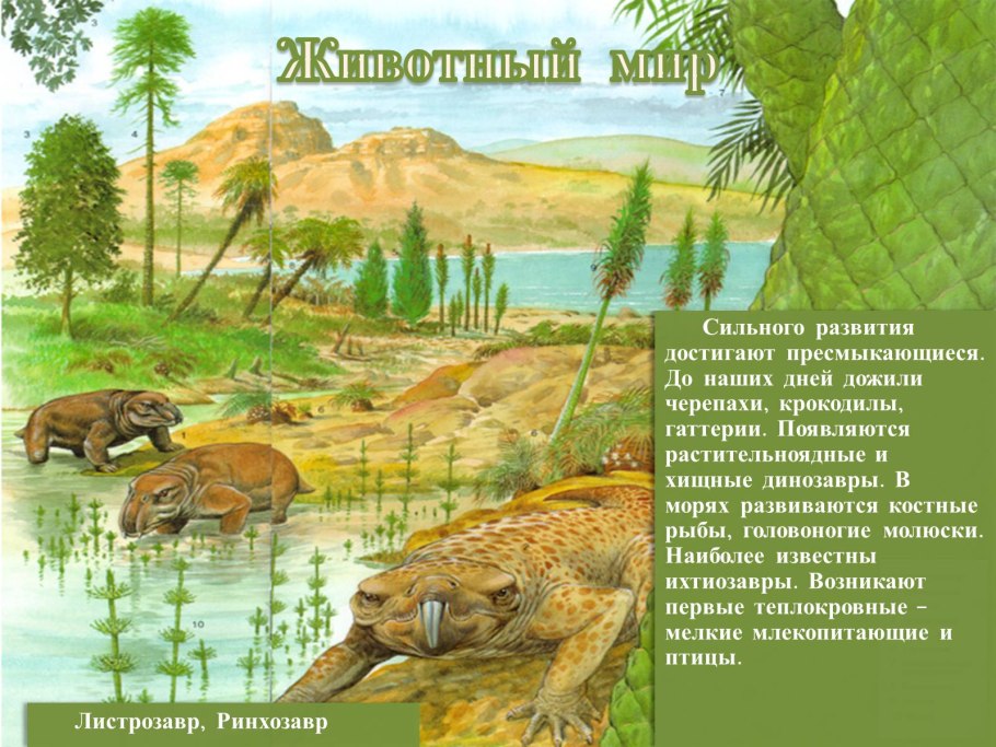 Триасовый период мир животных
