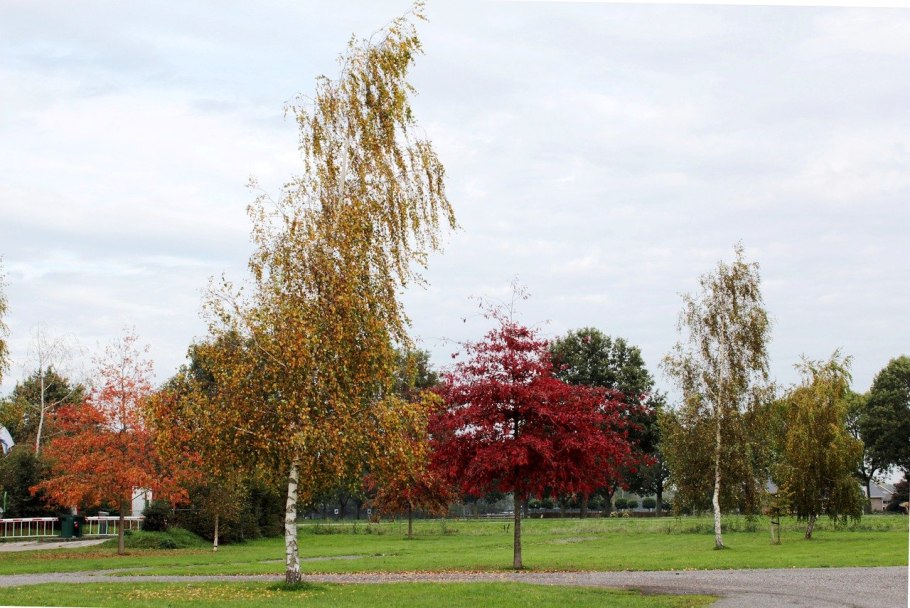 Материнская плата MSI 865gvm2-LS