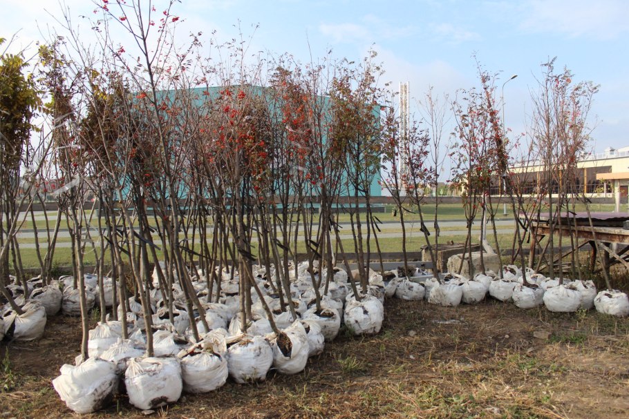 Деревня Угорная Слобода Коломенский район