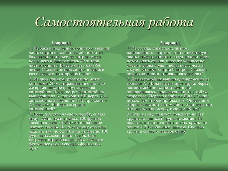 Береза бумажная Betula papyrifera