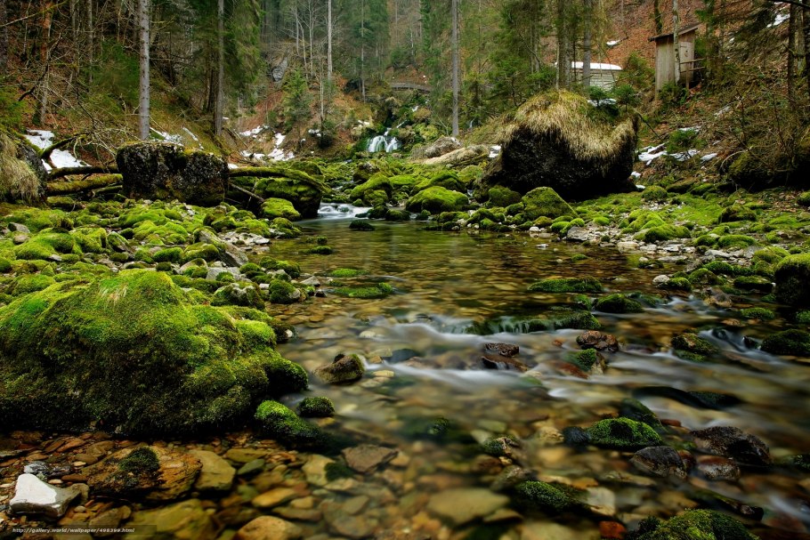 Лес камни река тава