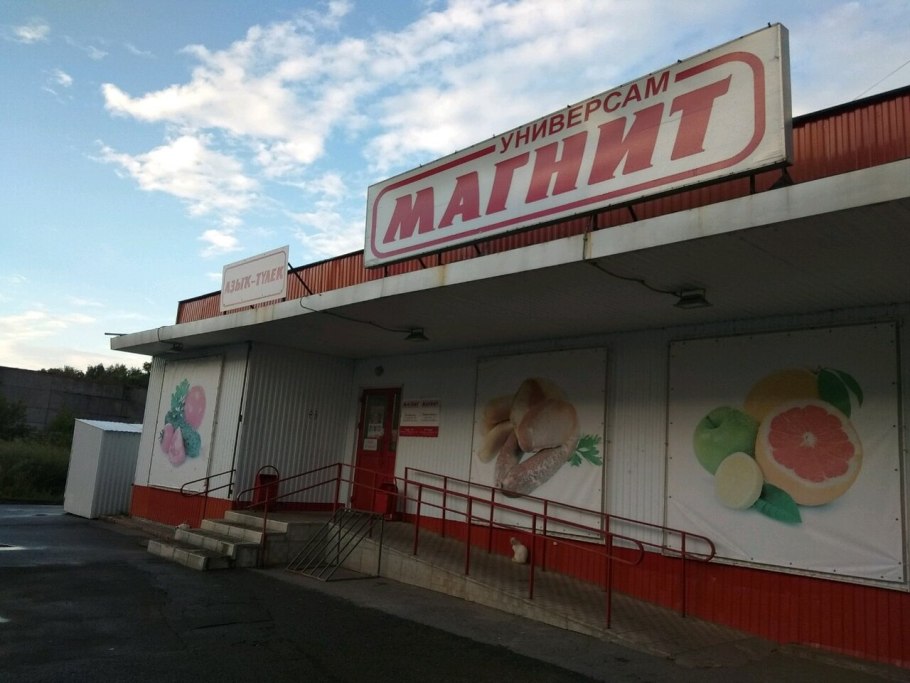 Бамбук в разрезе