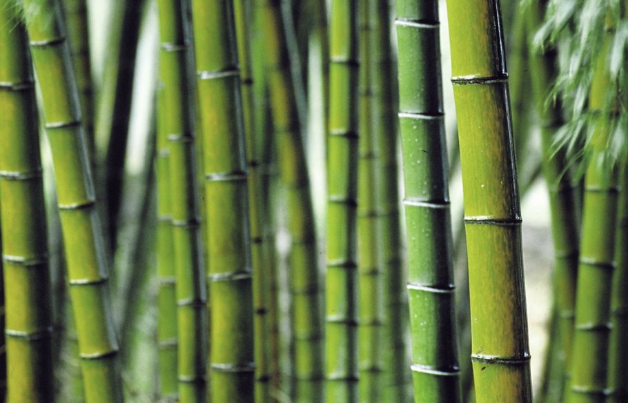 Отделка стен на кухне бамбуковыми панелями