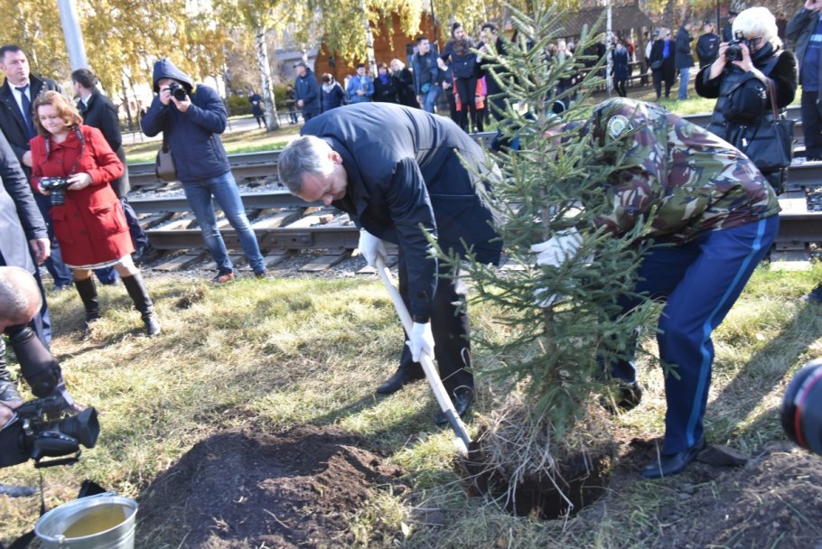 Высадка деревьев Новосибирск