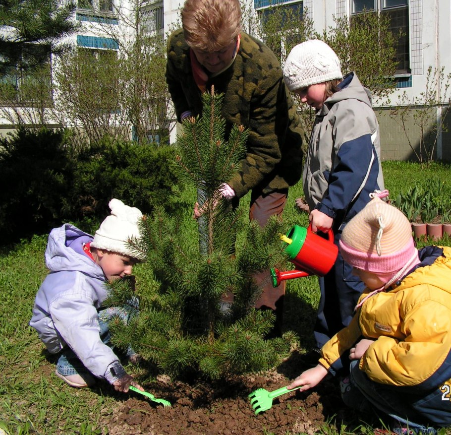 Дети сажают деревья