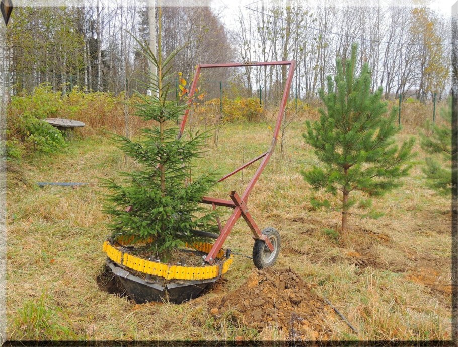 Приспособление для выкапывания деревьев
