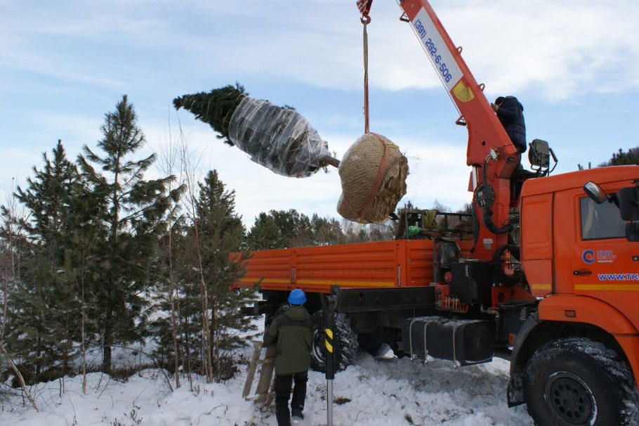 Разгрузка крупномеров
