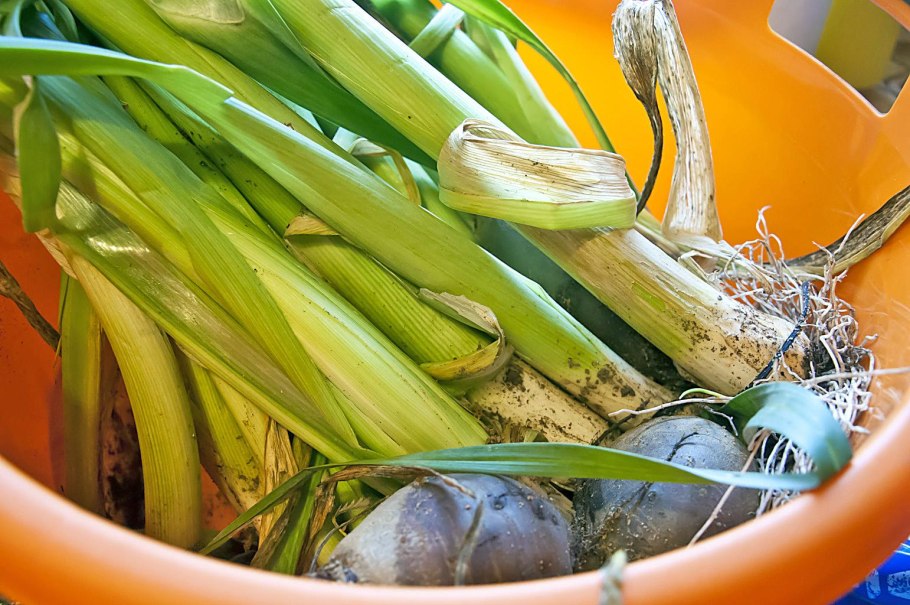 Сено из лука порея