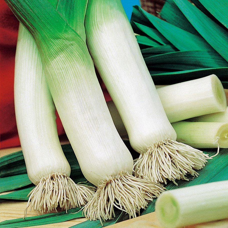 Лук порей Gyu