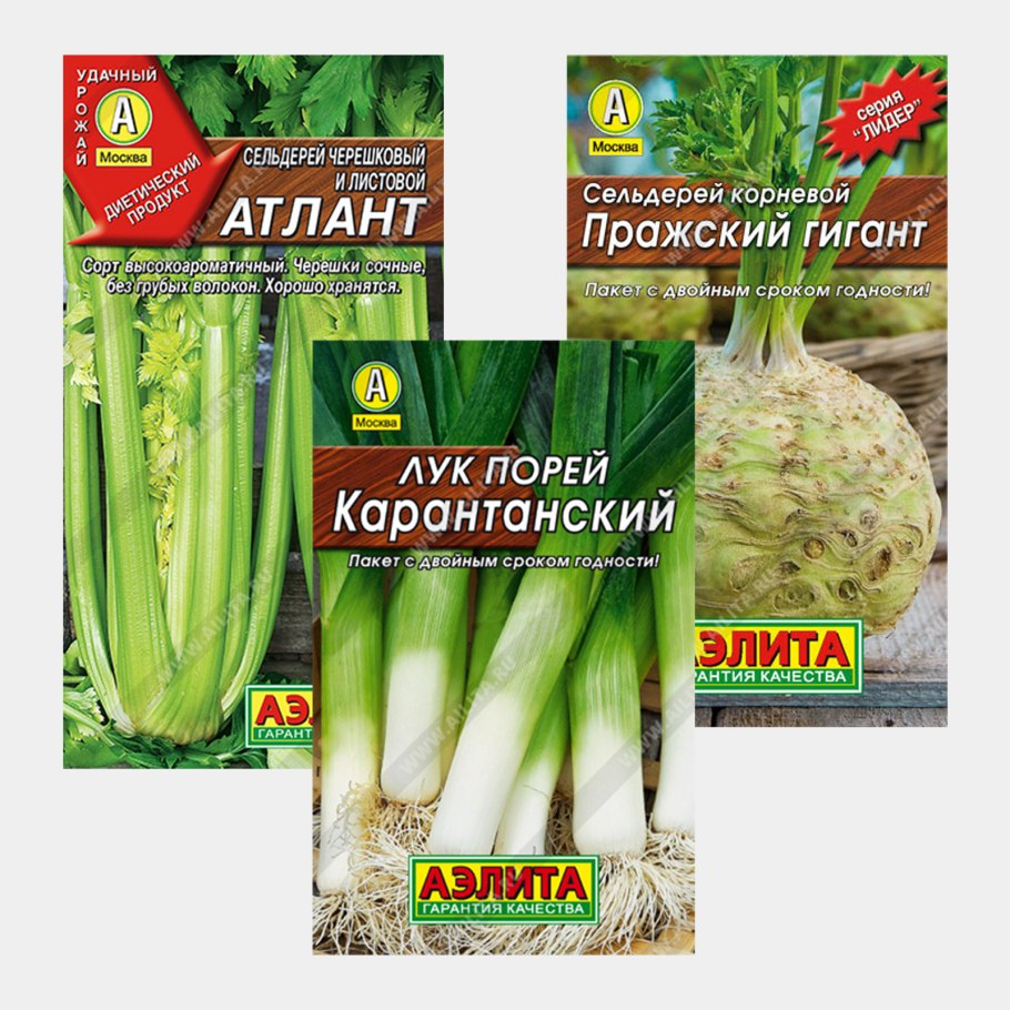 Лук порей Карантанский Аэлита