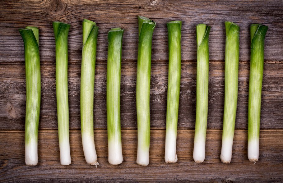 Celery Sticks