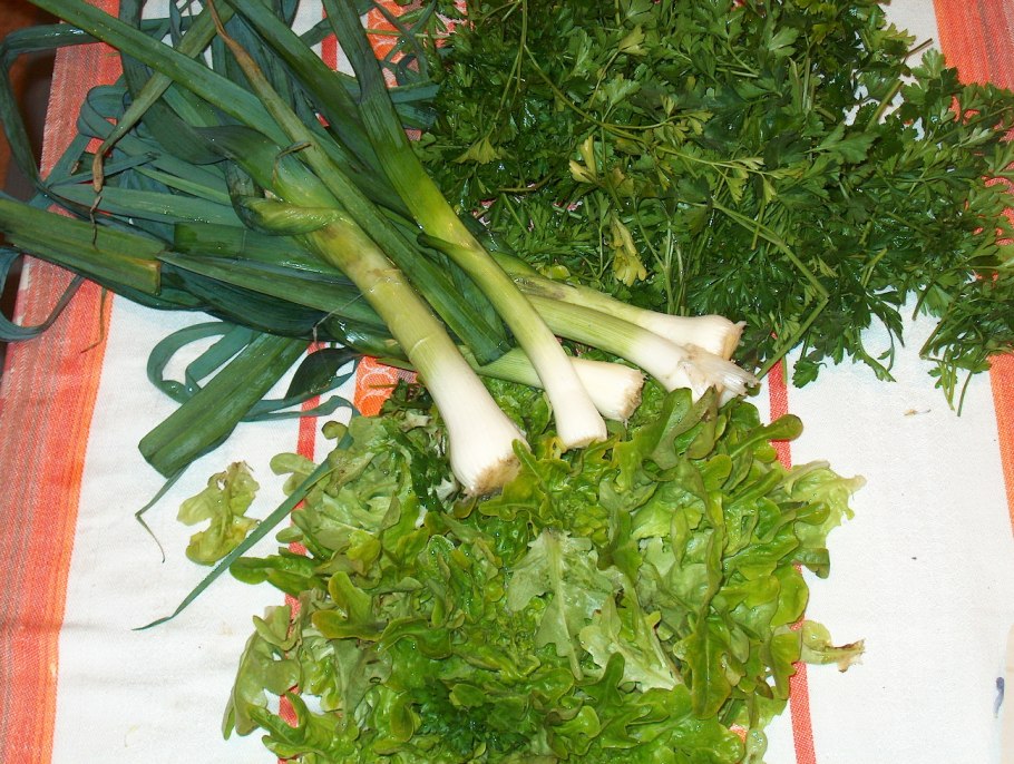 Лук порей+петрушка