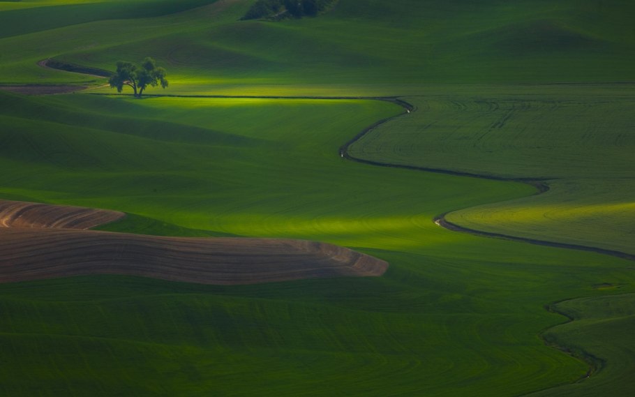 Ландшафт равнина