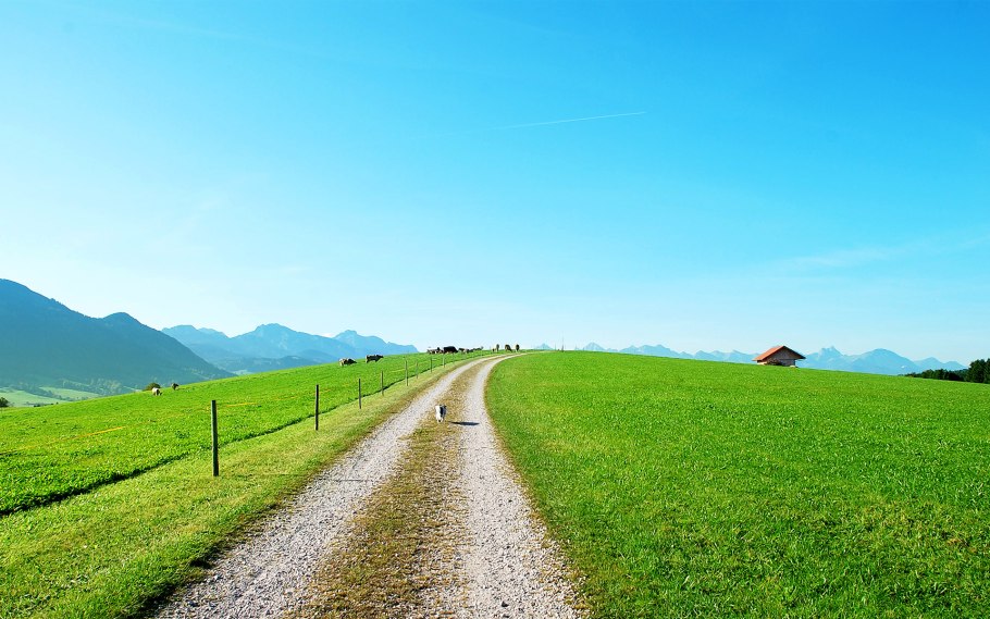 Дорога с травой