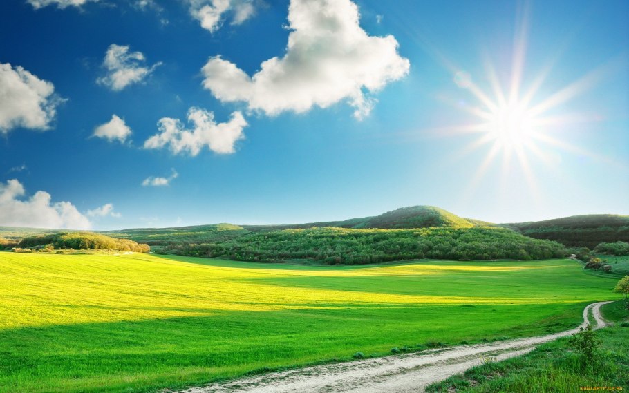 Солнечный день