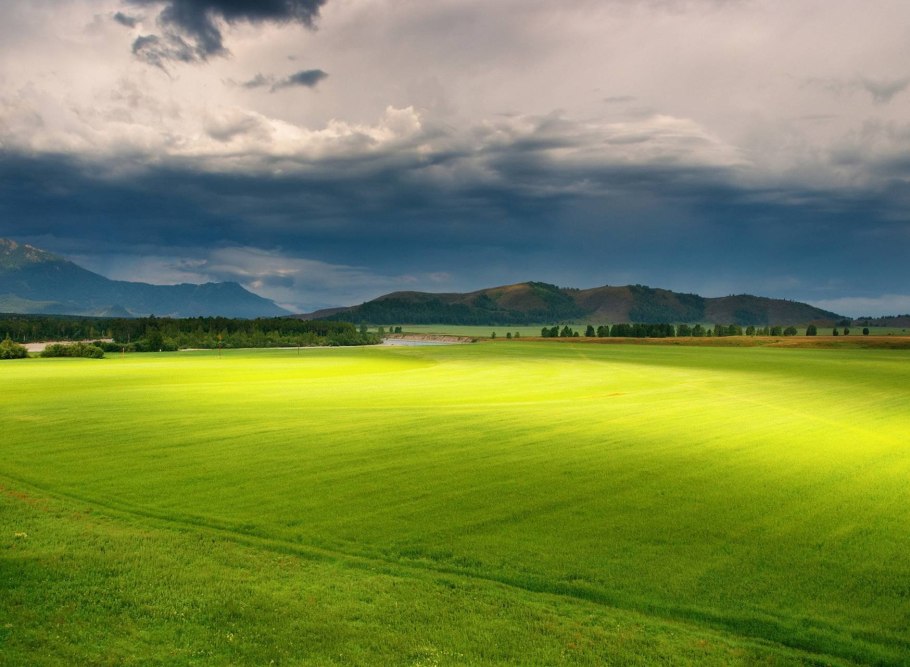 Зеленая равнина