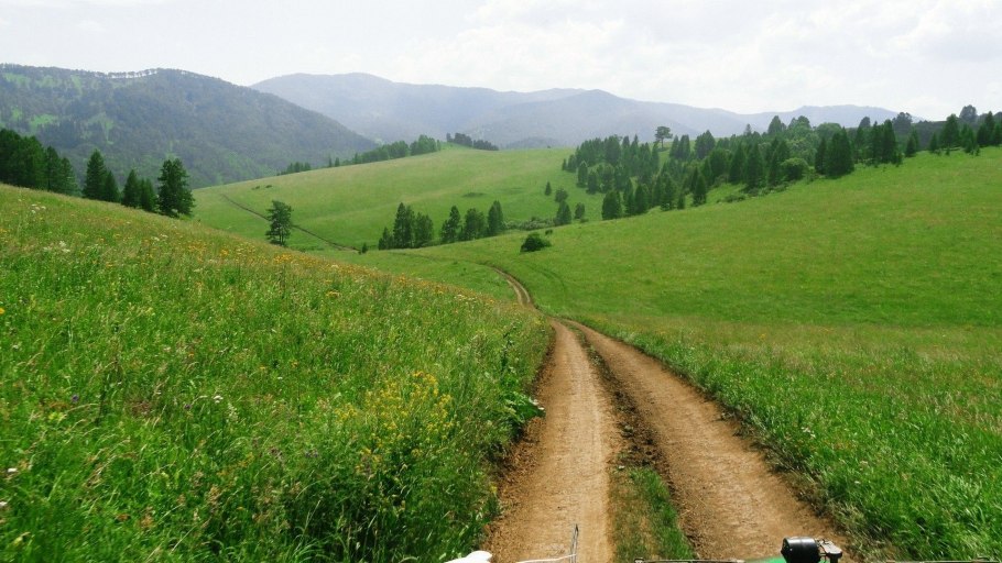Пейзажи с дорогой через поляну