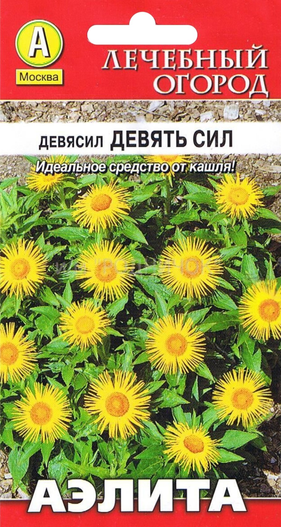 Девясил мечелистный